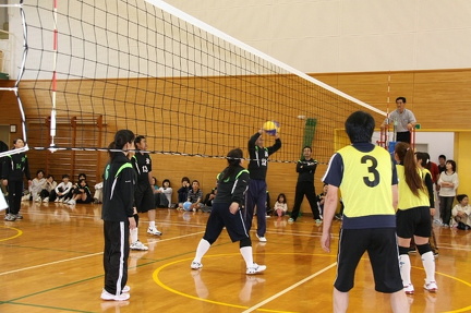 IMG 4197 ml ml