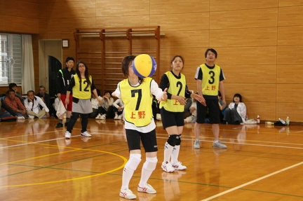 IMG 4293 ml ml