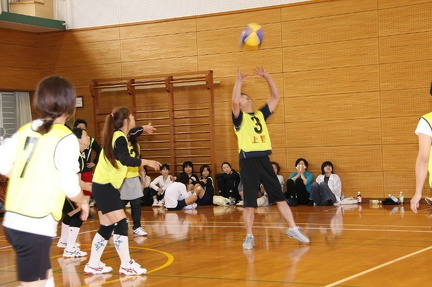 IMG 4294 ml ml