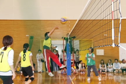 IMG 4296 ml ml