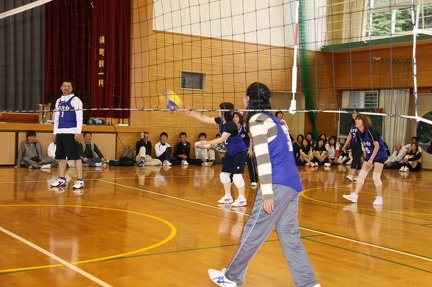IMG 4377 ml ml