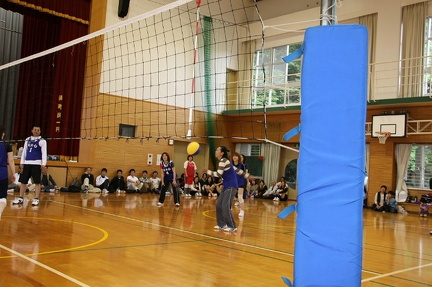 IMG 4379 ml ml