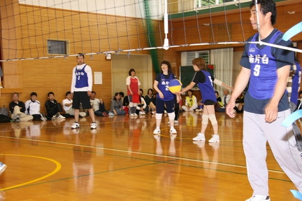 IMG 4393 ml ml