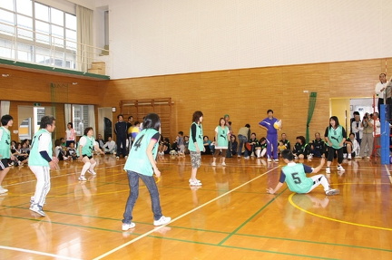 IMG 4222 ml ml