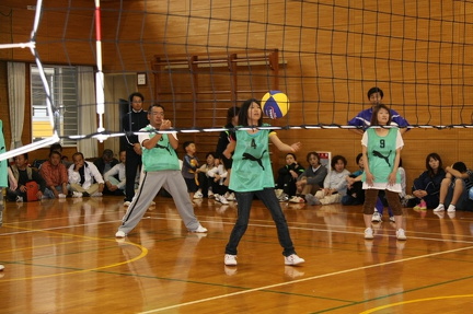 IMG 4237 ml ml