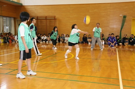 IMG 4243 ml ml