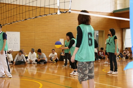 IMG 4331 ml ml