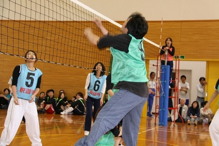 IMG 4337 ml ml