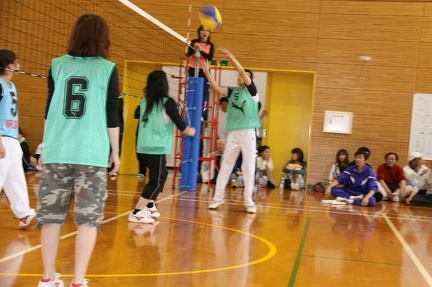 IMG 4339 ml ml