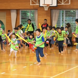 H29年度（2017）