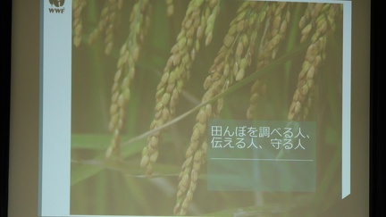P1770656
