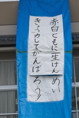 08.00.55 P9520532