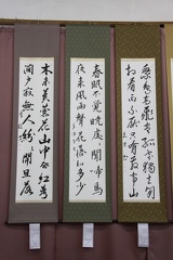 IMG 8537