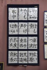 IMG 8541