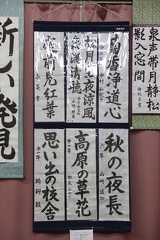 IMG 8543