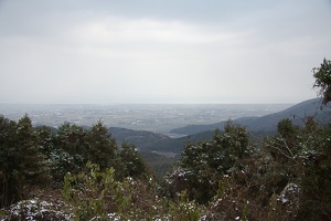 IMG 9317 m