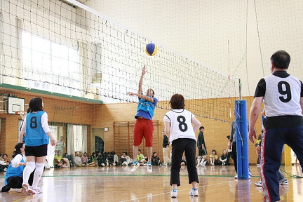 IMG 3048 s