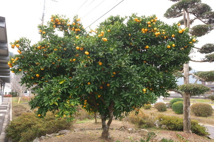 P9670396