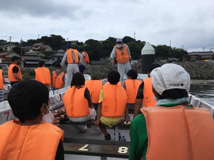 228301144 197766572393887 1242857182440281481 n