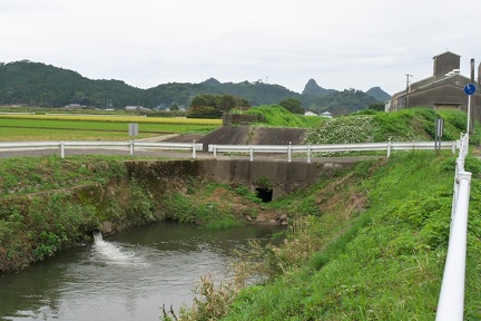P9810082
