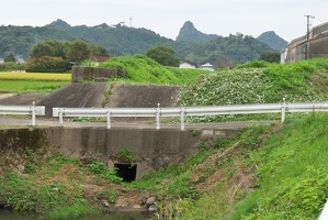 P9810083