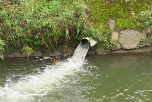 P9810085