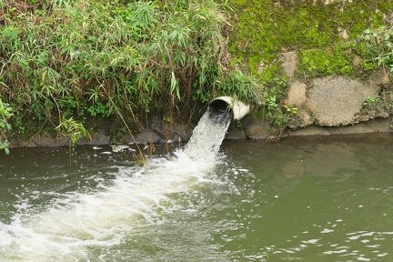 P9810085