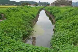 P9810087