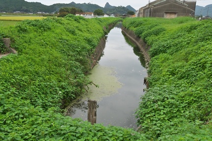 P9810087
