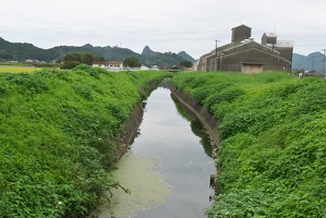 P9810088