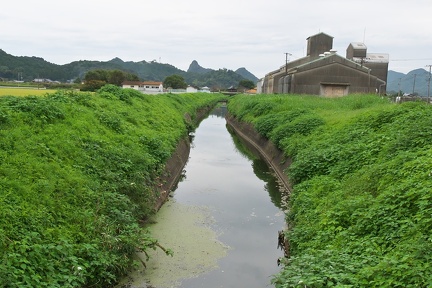 P9810088