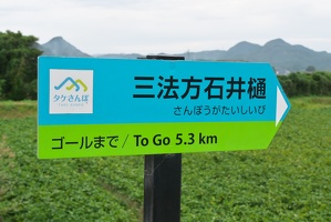 P9810096