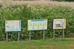P9810098