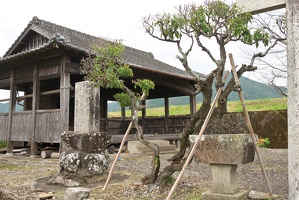 P9810146