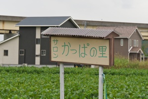 P9810147