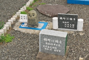 P9810163