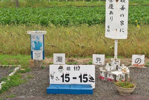 P9810164