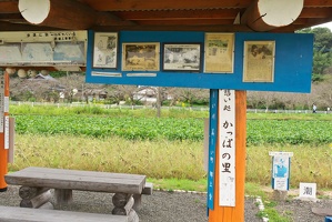 P9810165
