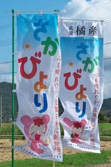 P1455943