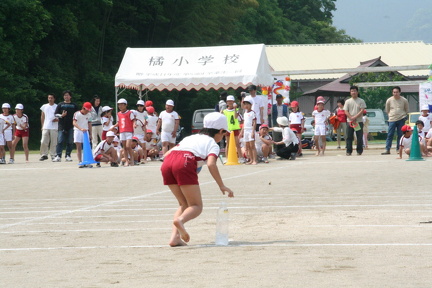 IMG 3982