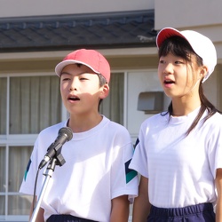 H29年度（2017）