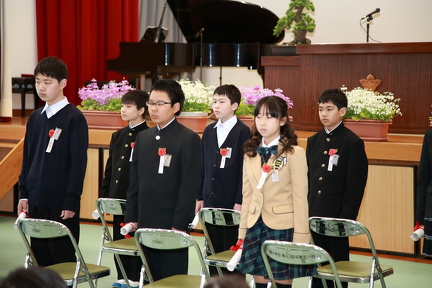 IMG 7221-1