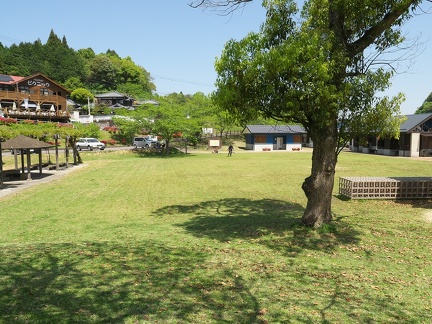 P1770466
