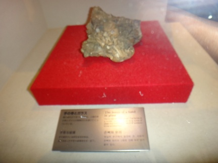 DSC01768