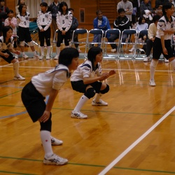 H16年度（2004）