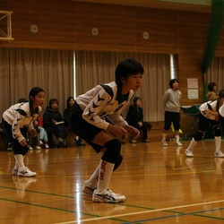 H17年度（2005）