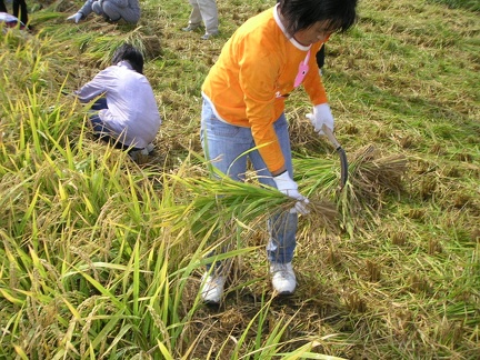 PICT1425