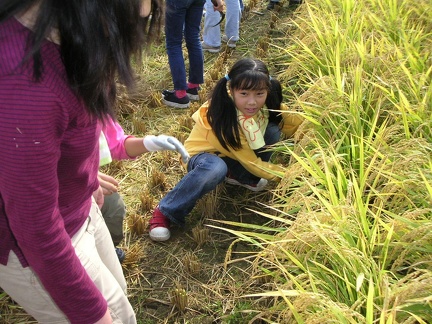 PICT1427