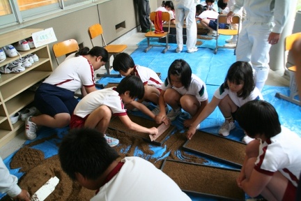 IMG 0655 mc