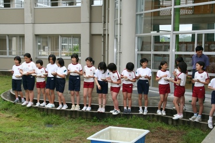 IMG 0662 mc
